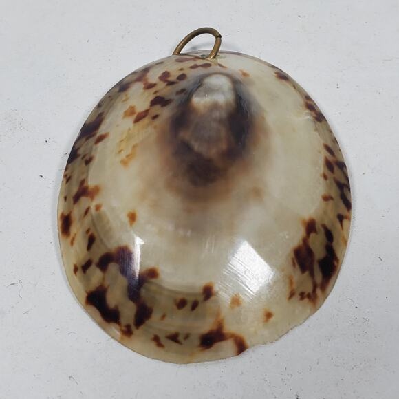 Vintage Shell Pendant 1.75 Inch Long For Crafting Iridescent - Picture 2 of 3
